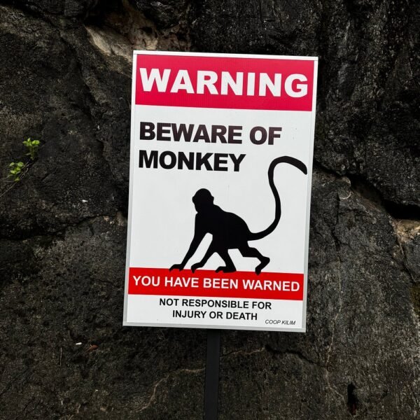 Sharing Basis Half-Day Mangrove Safari Boat Tour in Langkawi