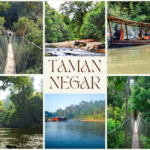 Taman Negara National Park