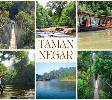 Taman Negara National Park